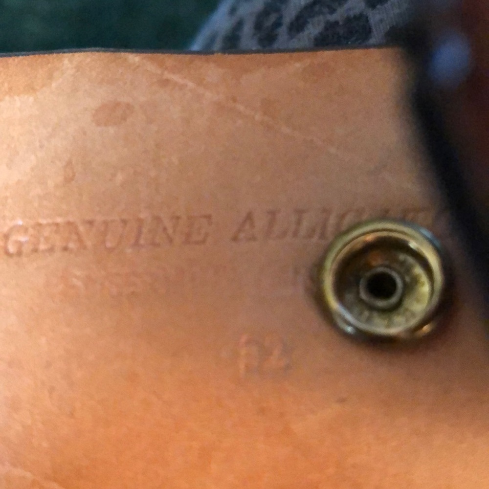 Alligator Belt - Picture 7 of 8